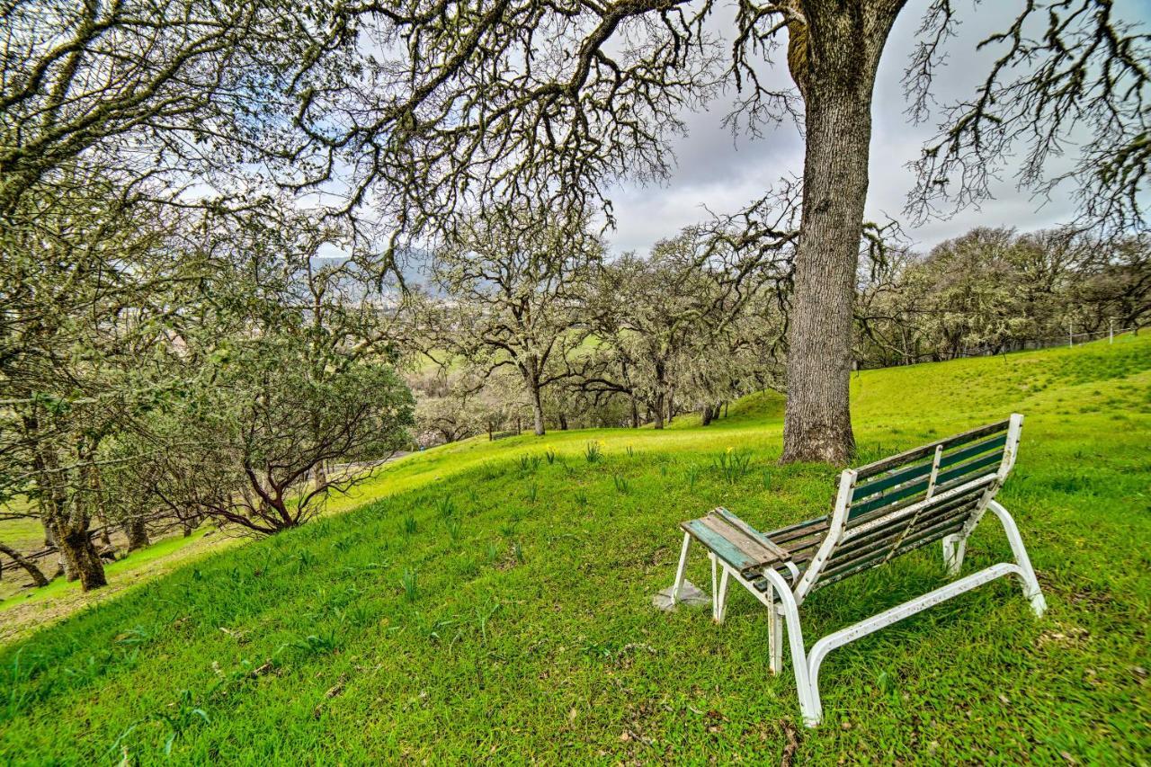 Hilltop Loft Ukiah Vacation Rental! Zewnętrze zdjęcie